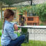 Girl watching rabbit eat treats on Zippi platforms from Omlet Caddi treat holder inside of Zippi rabbit playpen with Zippi tunnel connected