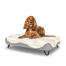 Dog sitting on medium Topology memory foam dog bed with easy to clean sheepskin topper and black hairpin feet