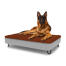 Dog sitting on a large Topology dog bed with microfiber topper and black metal hairpin feet