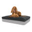 The beanbag topper will provide unbeatable comfort for your dog.