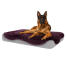 Dog Sitting on Large Topology Dog Bed with Damson Purple Sheepskin Topper