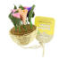 Boredom breaker floral hanging basket Boredom breaker floral hanging basket