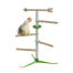 Chicken in the free standing perch system by Omlet