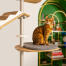 Freestyle indoor cat tree