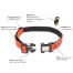 Long paws padded comfort collar details