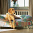 A retriever resting on top of the pawsteps electric bolster dog bed