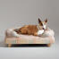 A bull terrior resting in the pawsteps natural bolster dog bed