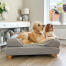 Topology dog bed with feet