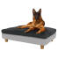 German shepperd in the large Topology dog bed