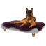 German shepperd in the large Topology dog bed