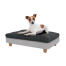 Jack russell in the small Topology dog bed Jack russell in the small Topology dog bed