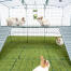 Omlet Zippi rabbit playpen with Zippi platforms, Caddi treat holder and rabbits
