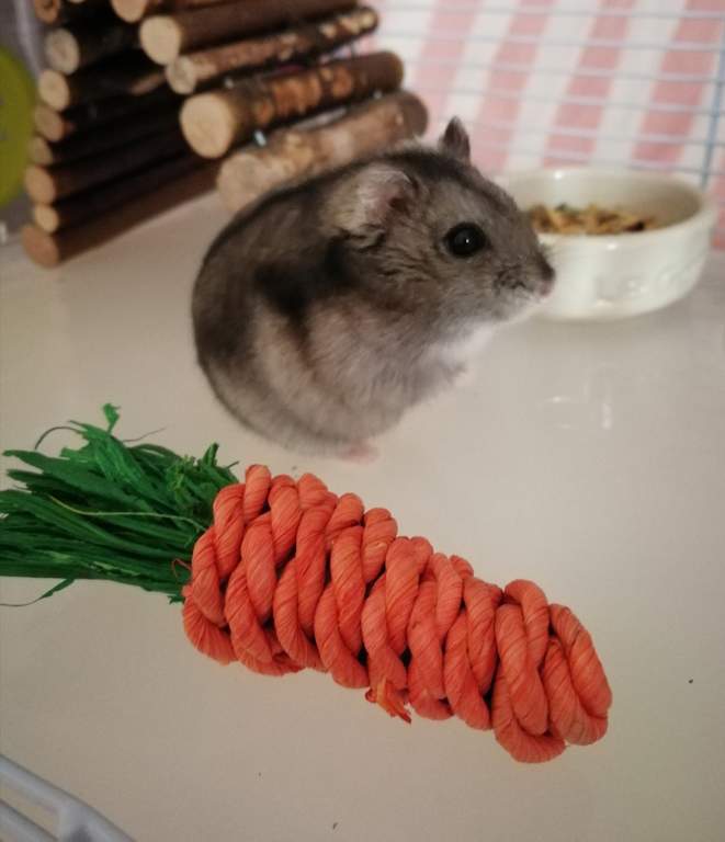 Boredom Breaker Mini Sisal Carrots 6pk Hamster & Gerbil Toys
