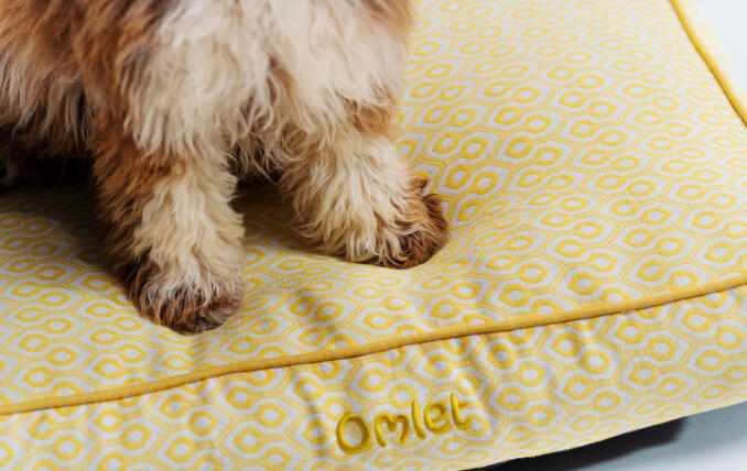 A close up of the Honeycomb Pollen cushion dog bed.