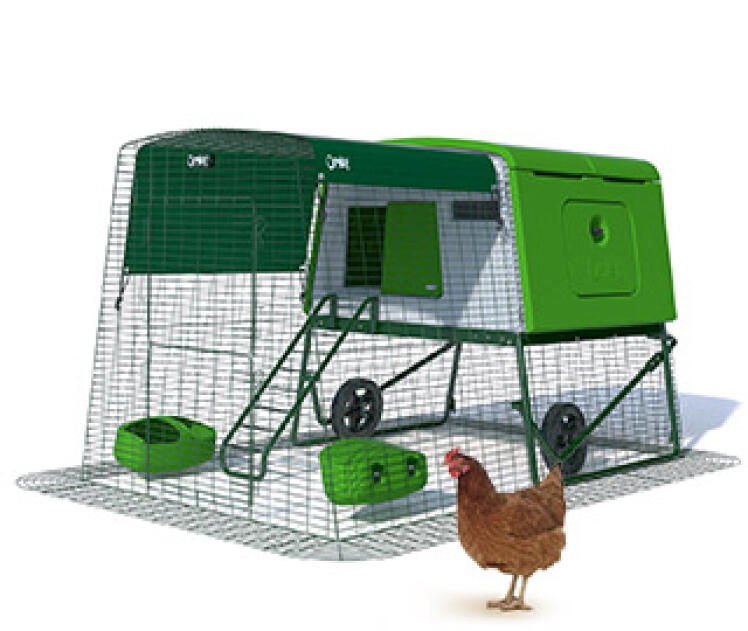 Chicken Coops, Walk in Chicken Runs