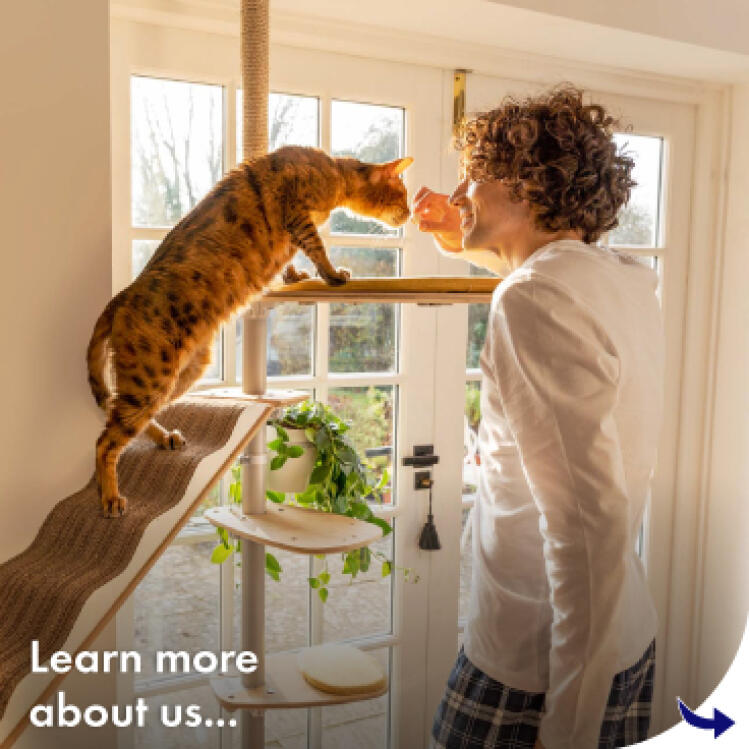 Learn more about Omlet