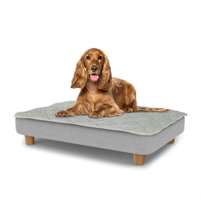 Medium Easy to clean dog bed with Quilted Topper u0026 Wooden Round Feet