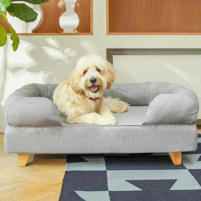 dog bed with feet