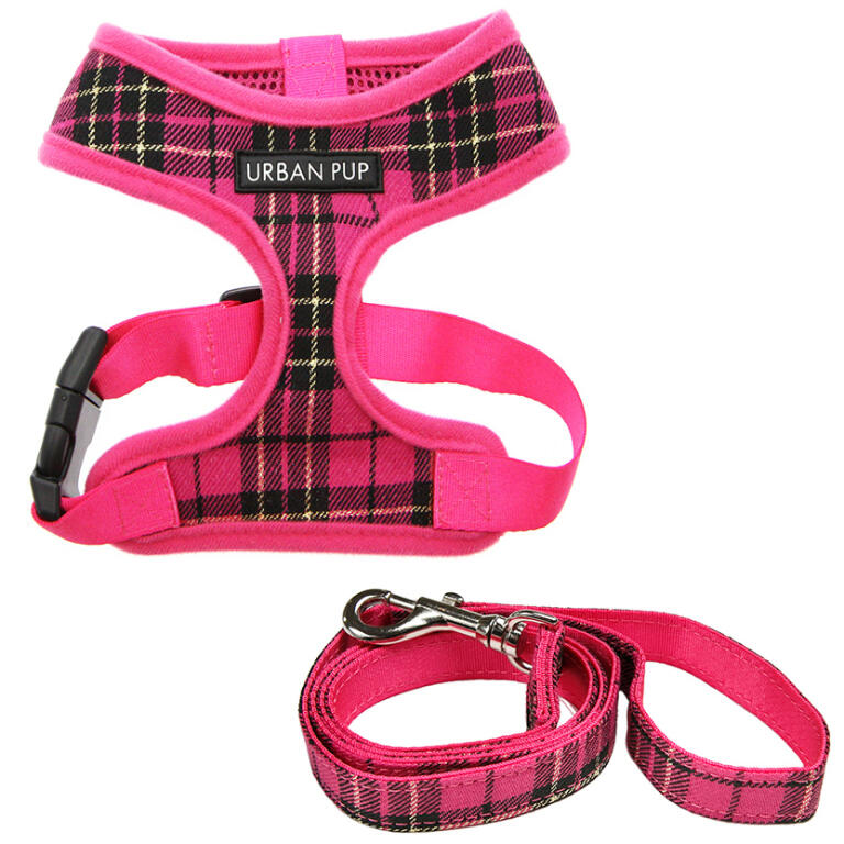 dog lead pink