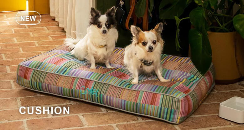 Dog walk collection cushion dog bed
