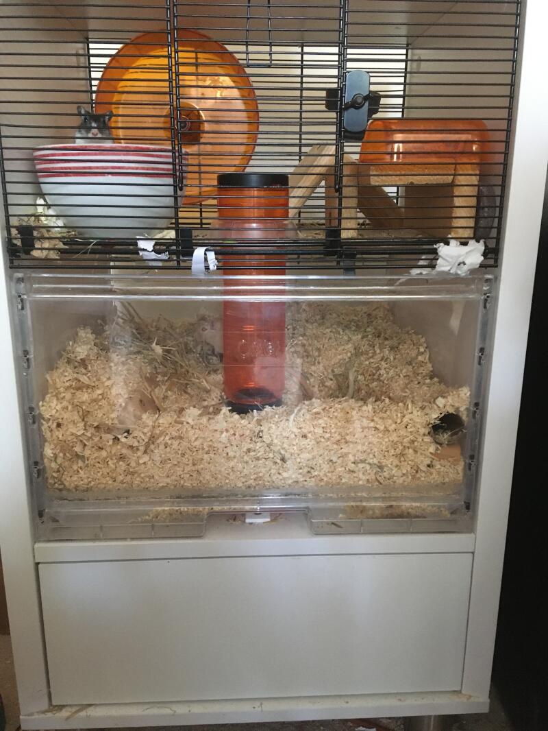 Qute Hamster & Gerbil Cage Stylish Hamster House Omlet