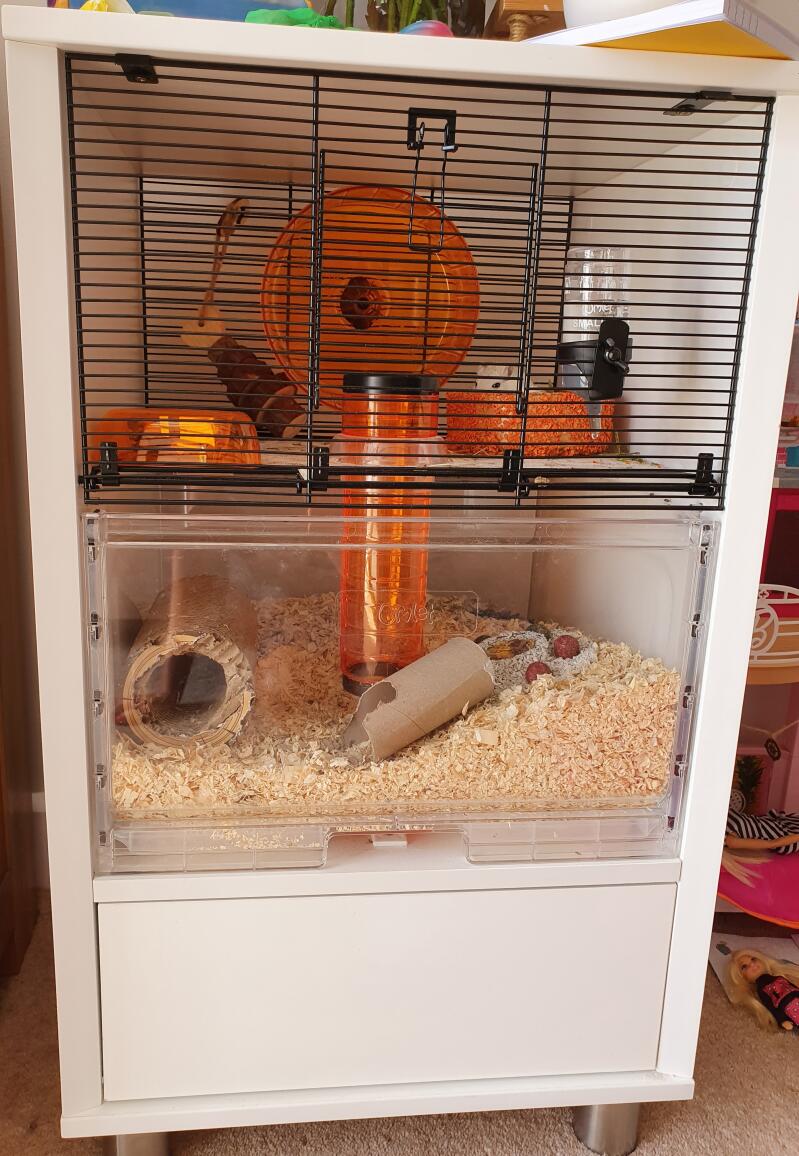 Qute Hamster & Gerbil Cage Stylish Hamster House Omlet