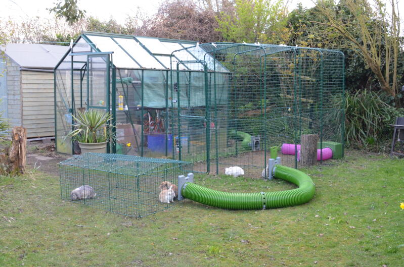 rabbit hutch extension run