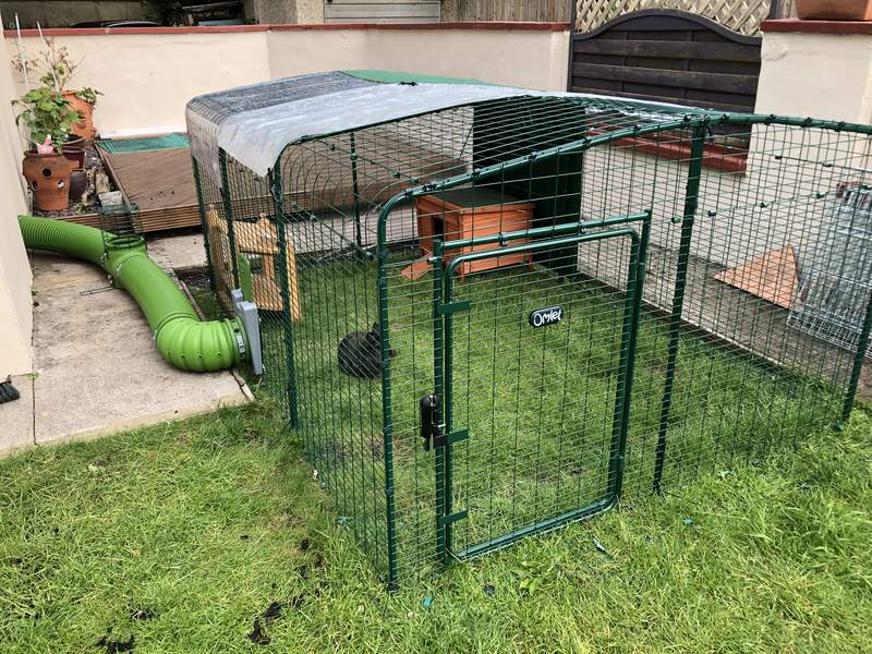 Omlet Outdoor Rabbit Run Extensions | Rabbit Hutches, Rabbit Runs and ...