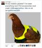 High-vis chicken jackets as seen on the apprentice