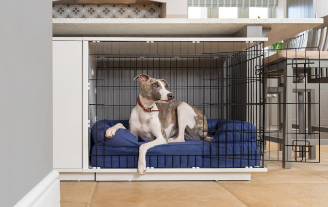 Dog resting in an indoor dog kennel located in a kitchen