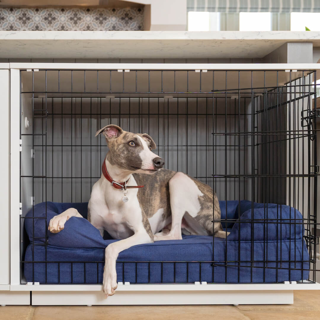 You and me soft dog crate new arrivals
