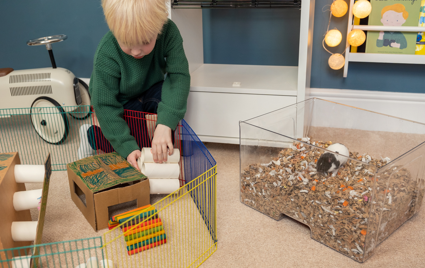 kid playing with hamster