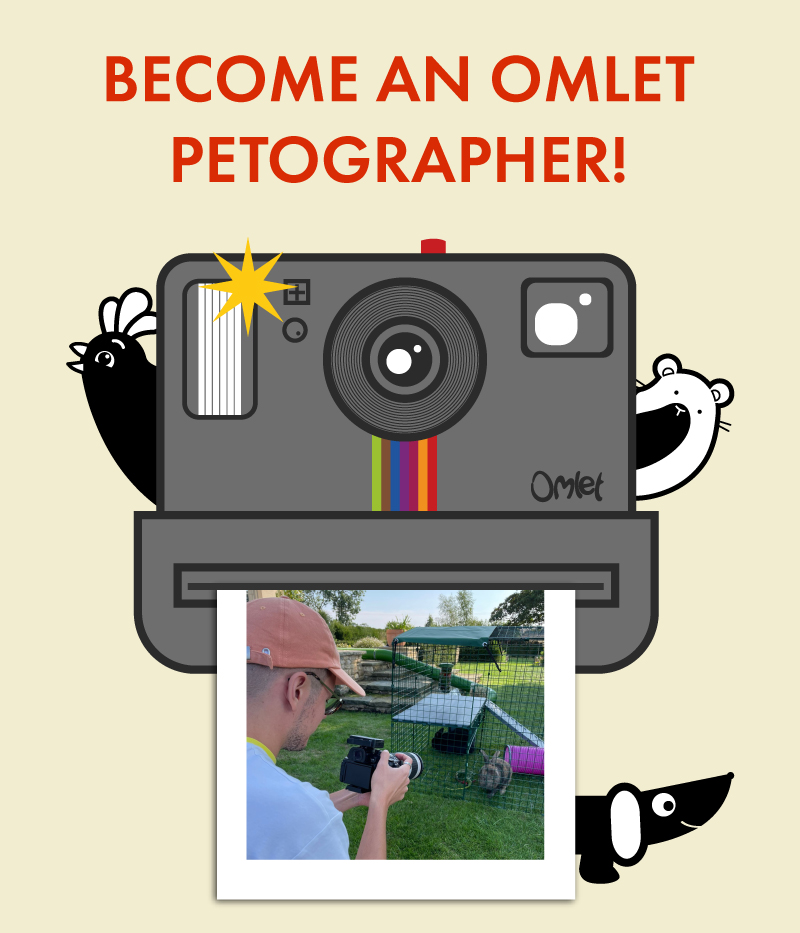 Earn Omlet credit for every photo or video we use!