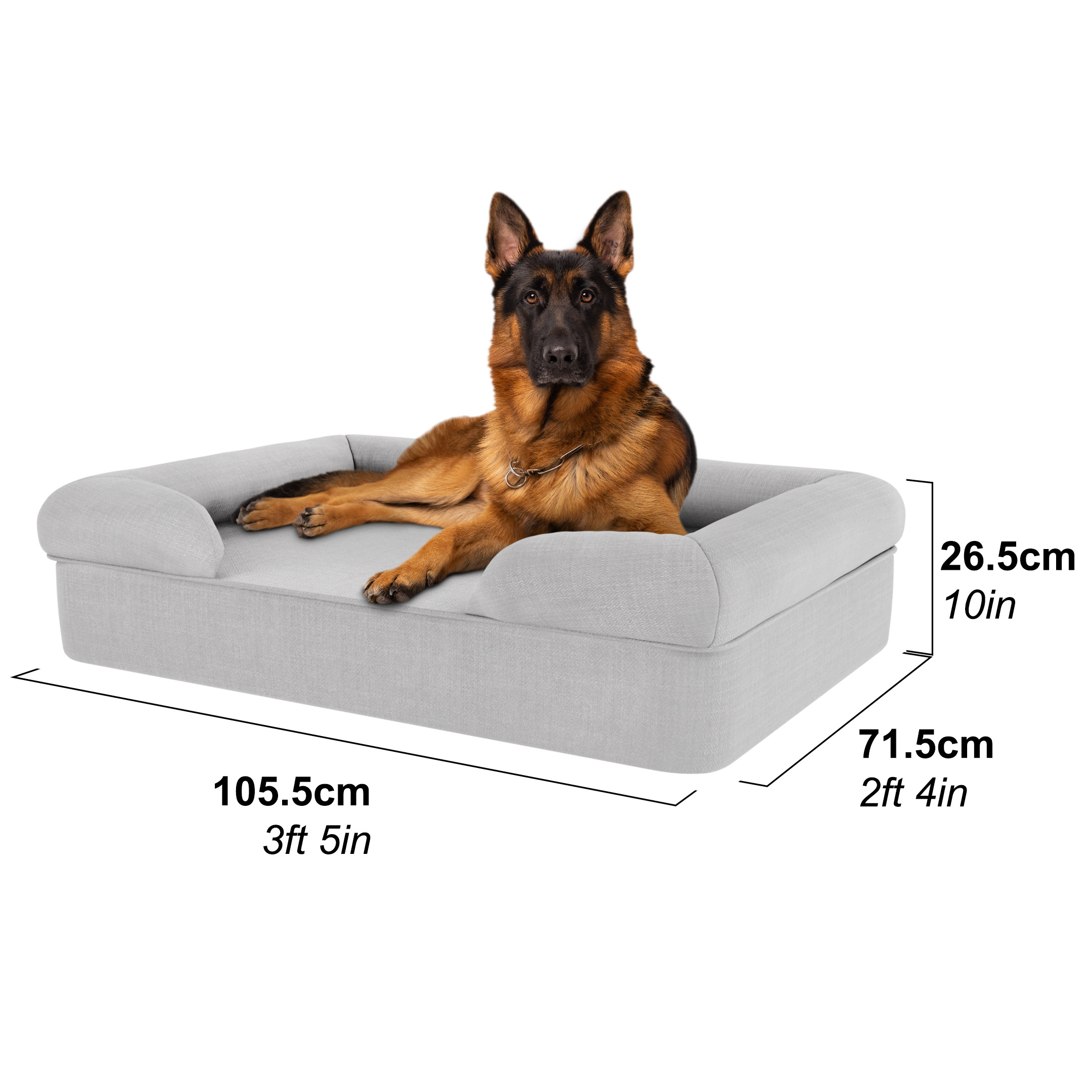 German Shepperd in a large dog bed
