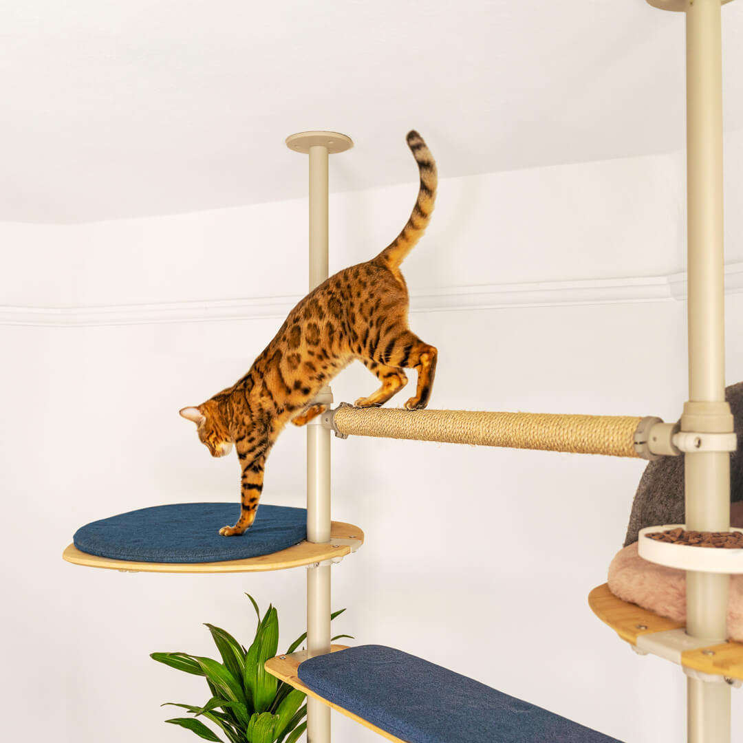 Cat climbing post floor to best sale ceiling