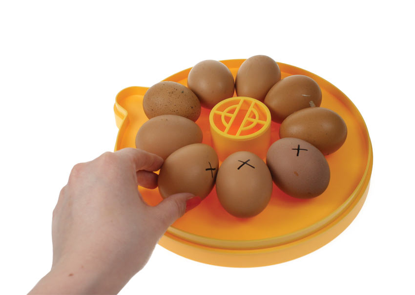 Turning the eggs inside the Brinsea Mini Eco Incubator