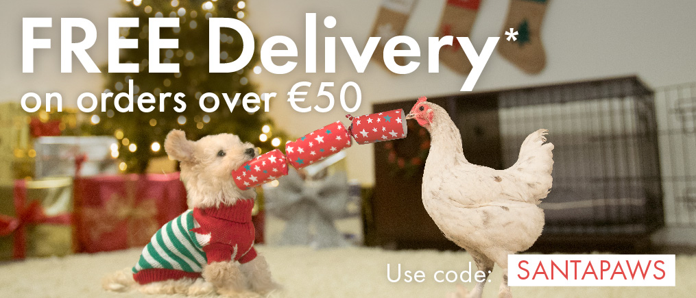 Christmas Promo Free Delivery