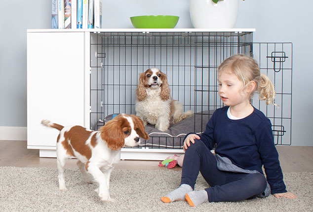 Fido Studio is a contemporary dog crate