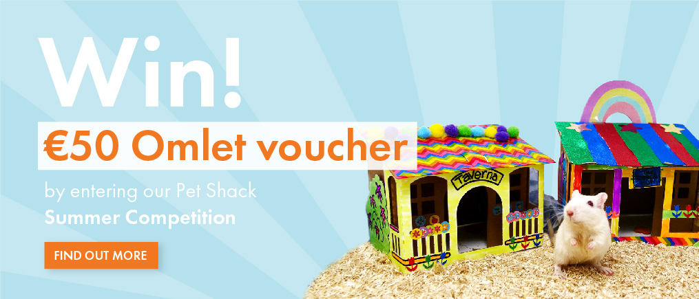 Pet Shack Competition