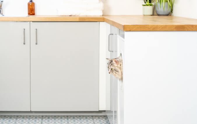 Cat litter box deals in kitchen