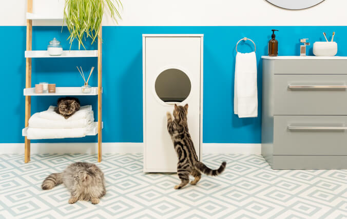 three cats around the stylish maya cat litter box furniture