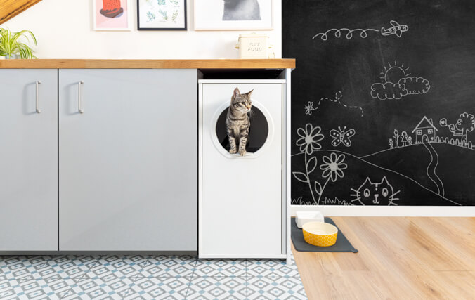 kitten looking out of a cat litter box under a work surface