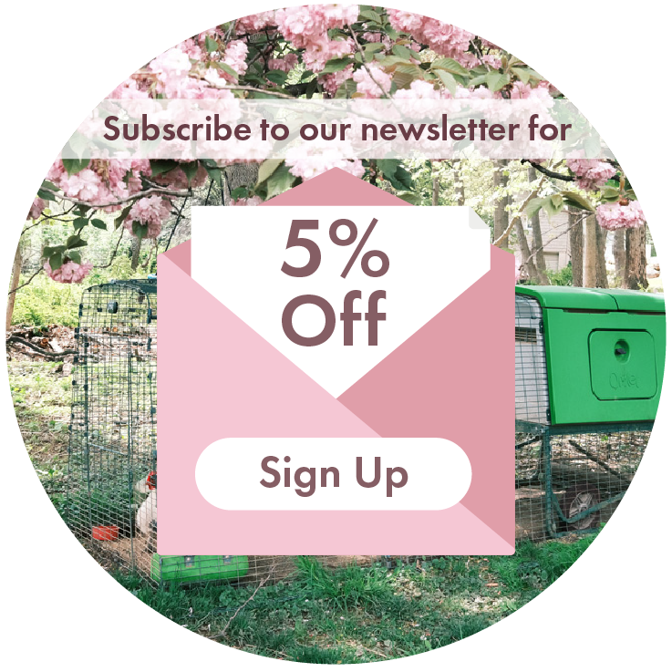 Newsletter Sign Up