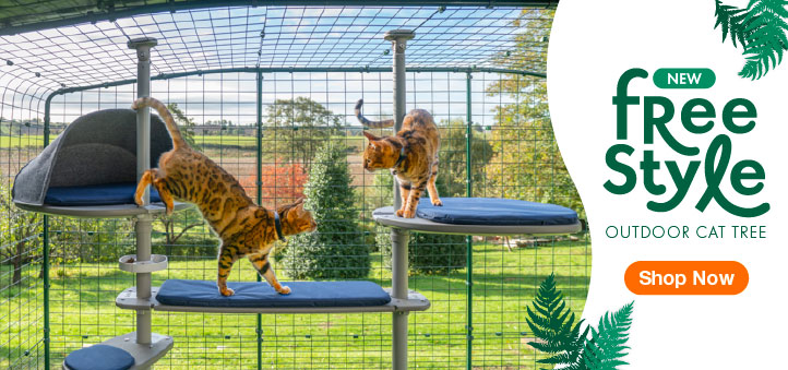 Two ginger cats playing on the Omlet Freestyle Outdoor Cat Tree