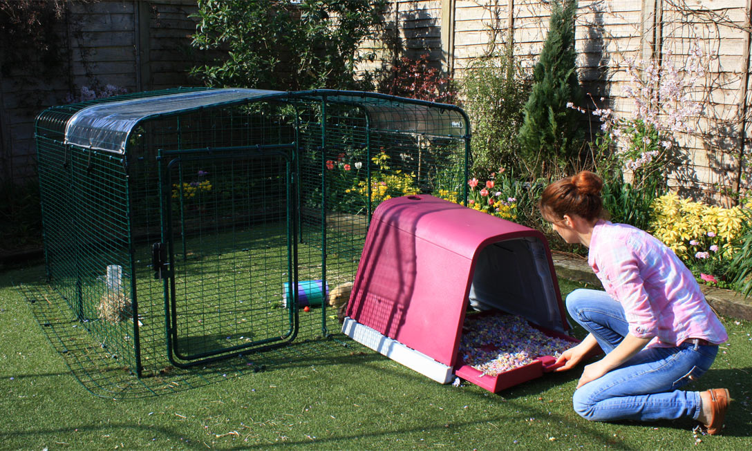 Guinea pig top hutches and runs