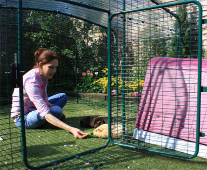 The Lo-Rise Outdoor Guinea Pig Run has a large door, giving easy access to your pet guinea pigs.