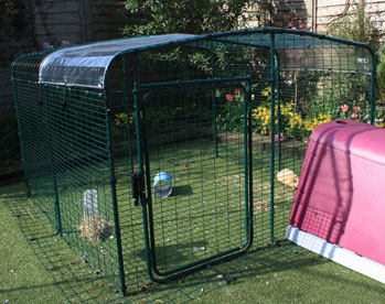 Guinea pig run argos deals