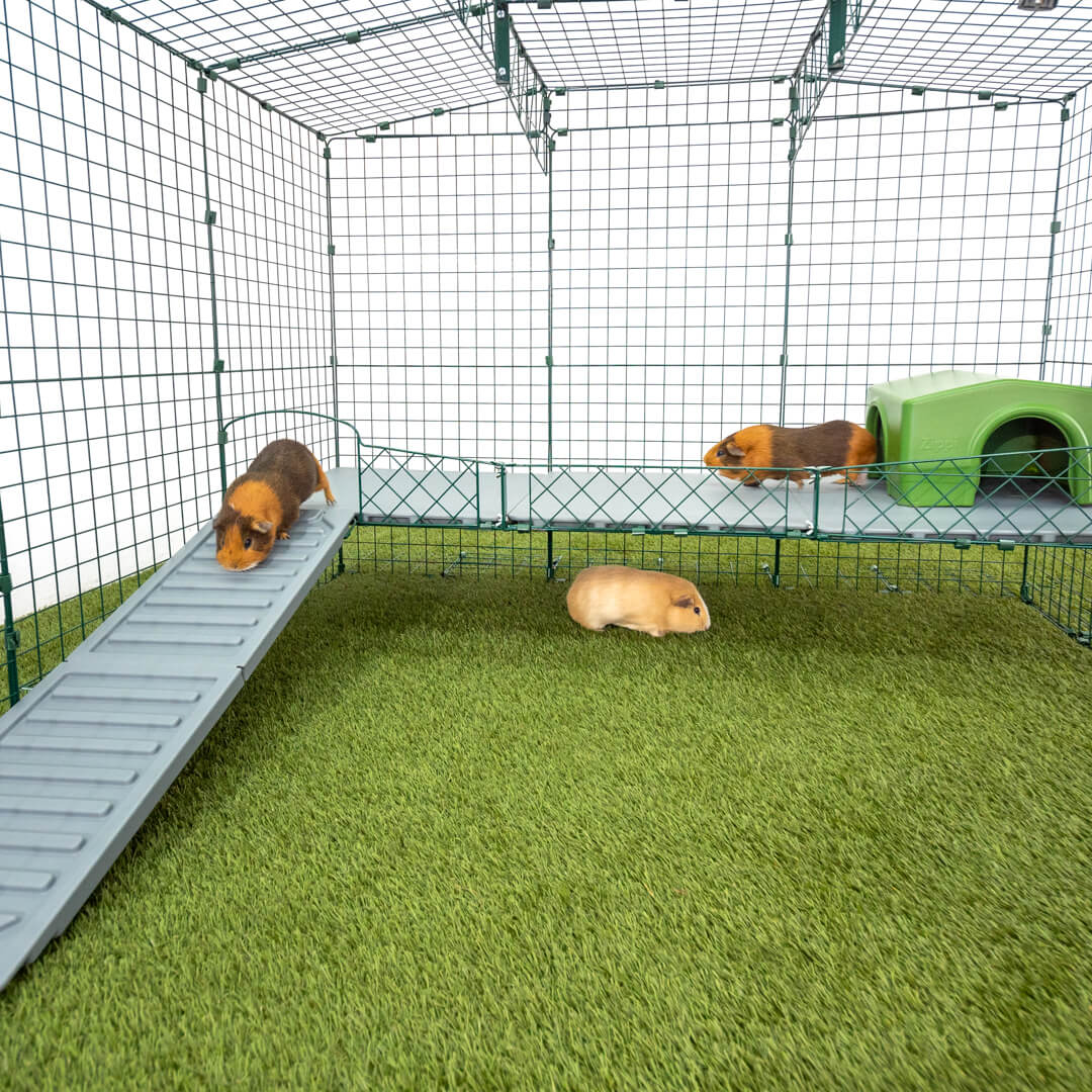 Zippi Guinea Pig Platforms panels Omlet