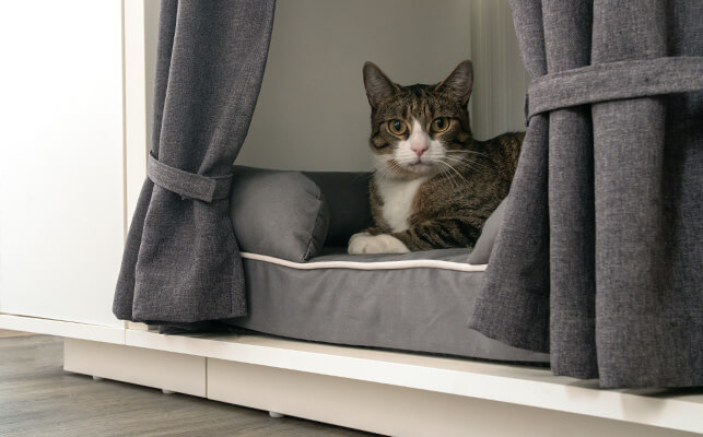 Luxury Indoor Cat House Maya Nook Omlet