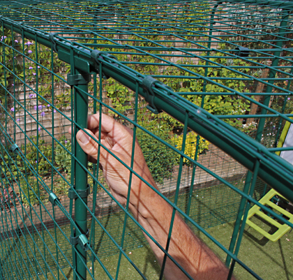Strong supporting poles on the Walk in Chicken Run.